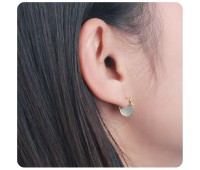 Silver Hoop Earring HO-2599